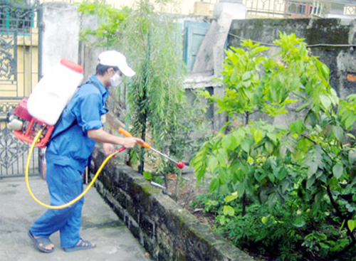 Sốt xuất huyết sẽ giảm khi miền Bắc trở lạnh, miền Nam qua mùa mưa